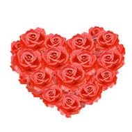 Heart of roses isolated for your design