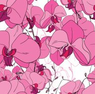 Seamless pattern from gentle pink orchids