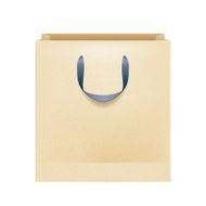 Blank brown paper bag with black handles