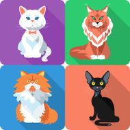 Set Cat icon flat design N2