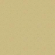 Seamless Geometric Pattern N110
