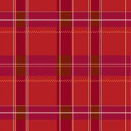 Plaid Pattern Illustration N4