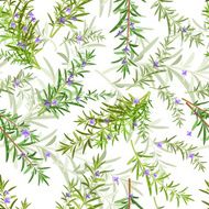 seamless texture of rosemary