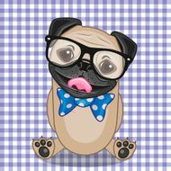 Hipster Pug Dog N2