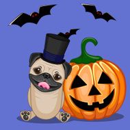 Halloween N213