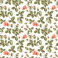 roses pattern N12