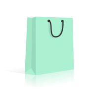 Blank Paper Shopping Bag With Rope Handles Mint Vector N2