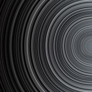 Abstract black and grey circle stripes colorful background