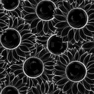 beautiful black and white seamless background with sunflowers