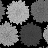 Beautiful monochrome black and white seamless background with flowers N2