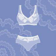 Fashion female lingerie with vintage lace ornament N2