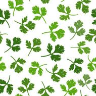 seamless texture of parsley