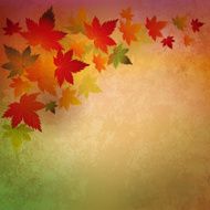 Abstract autumn vintage background N3