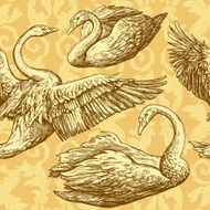 Vintage antique background with swans