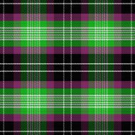 vector seamless pattern Scottish tartan N20
