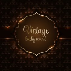 Vintage background with golden frame vector illustration N2