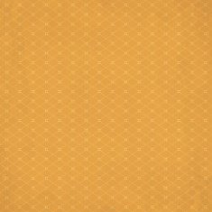 Hipster vintage retro background 3