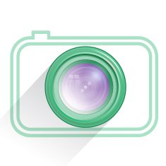 Lens camera icon green Vector
