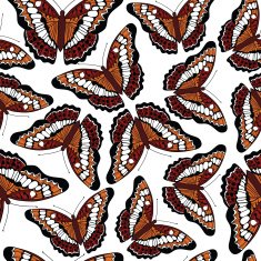 seamless pattern with butterflies N52