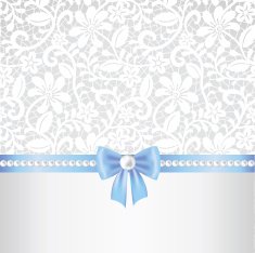 lace fabric background N30