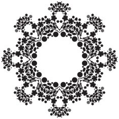 Lace ornament round doily geometric flower pattern floral holiday N26