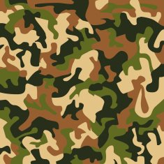 Camouflage Colors