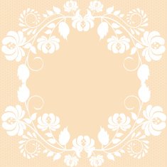 lace fabric background N34