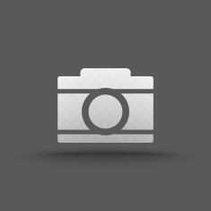 Vector of transparent camera icon N2