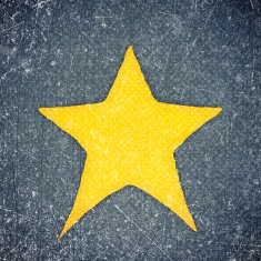 Yellow Star N13