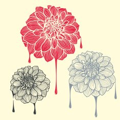 Hand-drawn flowers of dahlia N11