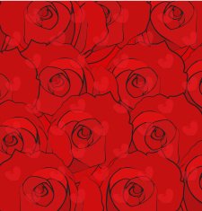 red rose for background vector