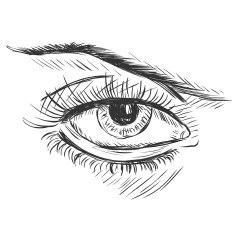 vector sketch illustration - female eye N2