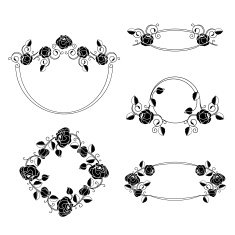Floral ornaments vignette and frames N2