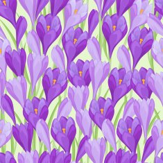 Spring flowers crocus natural seamless pattern