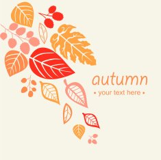 autumn leaf background N29