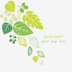 Seamless pattern with leaf abstract N8