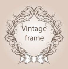 Vector vintage border frame N18