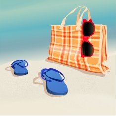 FlipFlops Bag