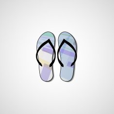 Abstract illustration on flip flops N168