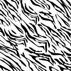 Zebra Pattern N13