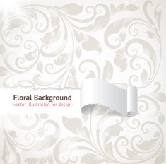 Floral Retro Background for Vintage Design N338