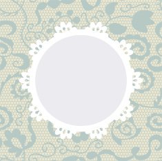 Elegant doily on lace gentle background N19