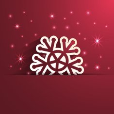 paper snowflake shape
