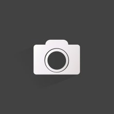 Photo camera web icon flat design N18