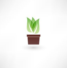 Flower in a pot icon N5