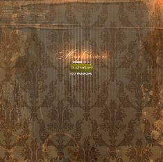 Floral background N426