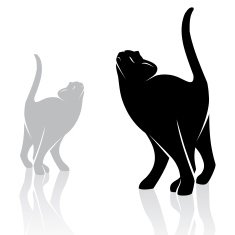 Vector image of an cat N8
