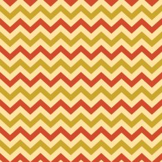 Vintage Popular Zigzag Chevron Pattern N10