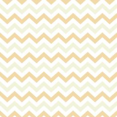 Vintage Popular Zigzag Chevron Pattern N11