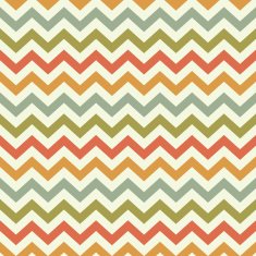 Vintage Popular Zigzag Chevron Pattern N12